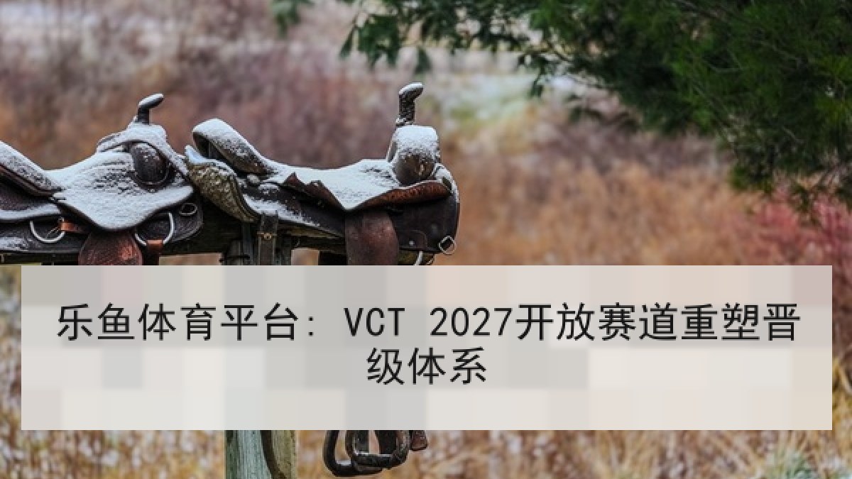 乐鱼体育平台: VCT 2027开放赛道重塑晋级体系 乐鱼体育平台: VCT 2027开放赛道重塑晋级体系