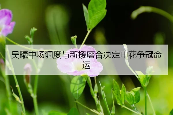 wu-xi-zhong-chang-diao-du-yu-xin-yuan-mo-he-jue-ding-shen-hua-zheng-guan-ming-yun-3-619.jpg