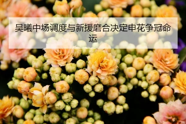 吴曦中场调度与新援磨合决定申花争冠命运