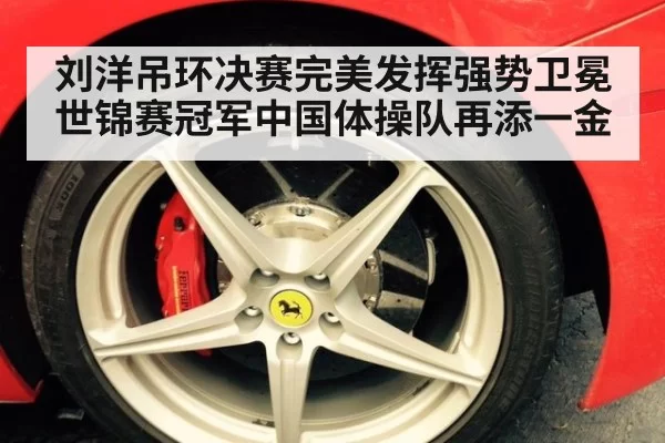 刘洋吊环决赛完美发挥强势卫冕世锦赛冠军中国体操队再添一金