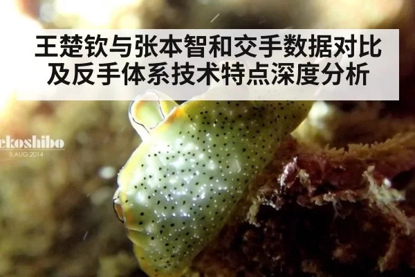 王楚钦与张本智和交手数据对比及反手体系技术特点深度分析